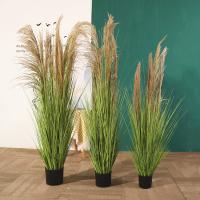 uploads/erp/collection/images/Home Garden/CongDing/XU0611695/img_b/XU0611695_img_b_1